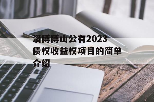 淄博博山公有2023债权收益权项目的简单介绍