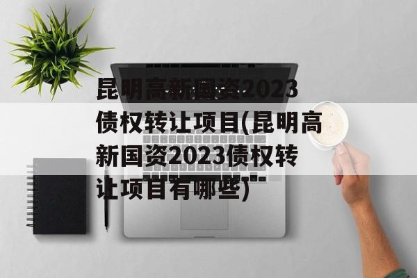 昆明高新国资2023债权转让项目(昆明高新国资2023债权转让项目有哪些)