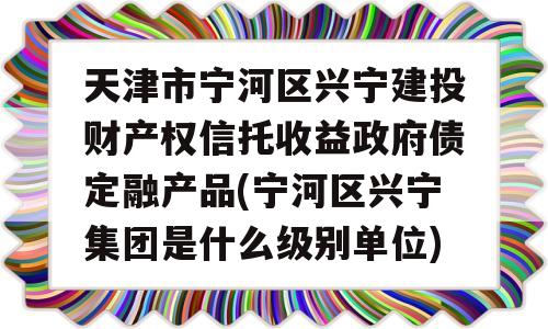 天津市宁河区兴宁建投财产权信托收益政府债定融产品(宁河区兴宁集团是什么级别单位)