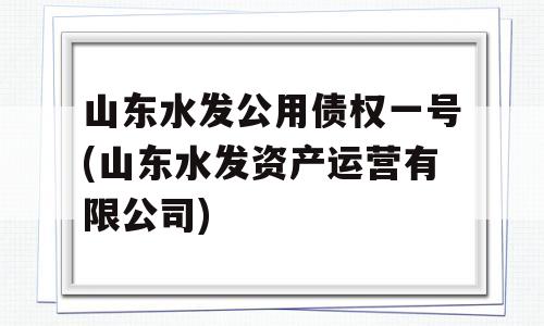 山东水发公用债权一号(山东水发资产运营有限公司)