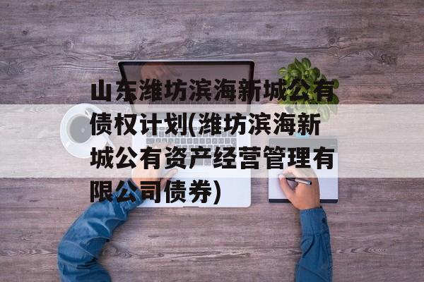 山东潍坊滨海新城公有债权计划(潍坊滨海新城公有资产经营管理有限公司债券)