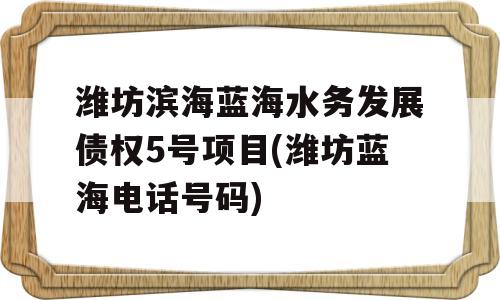 潍坊滨海蓝海水务发展债权5号项目(潍坊蓝海电话号码)