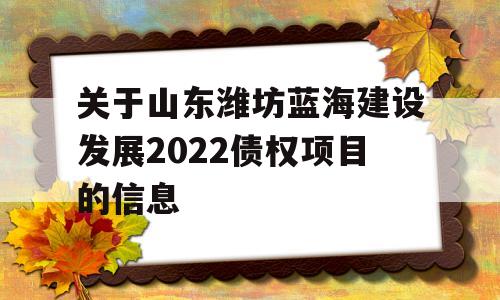 关于山东潍坊蓝海建设发展2022债权项目的信息