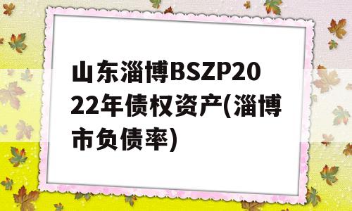 山东淄博BSZP2022年债权资产(淄博市负债率)