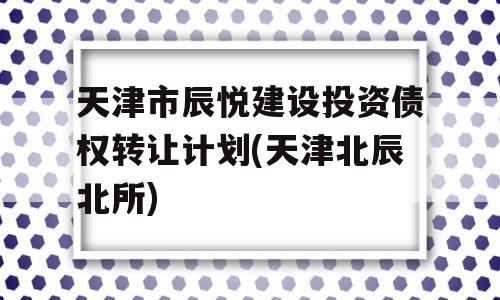 天津市辰悦建设投资债权转让计划(天津北辰北所)