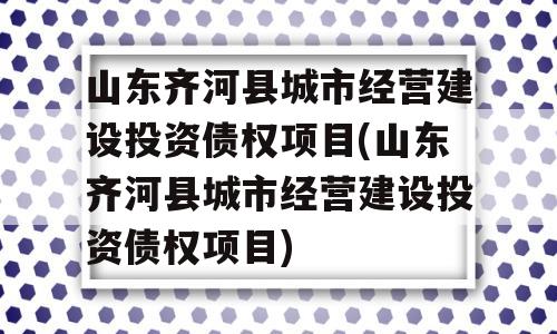 山东齐河县城市经营建设投资债权项目(山东齐河县城市经营建设投资债权项目)