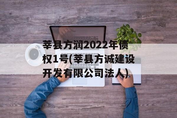 莘县方润2022年债权1号(莘县方诚建设开发有限公司法人)