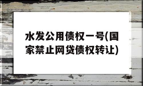 水发公用债权一号(国家禁止网贷债权转让)