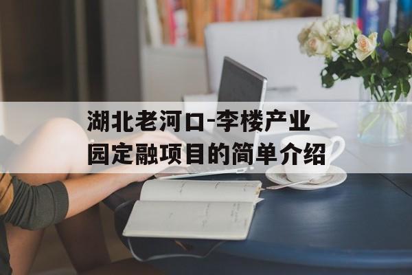 湖北老河口-李楼产业园定融项目的简单介绍