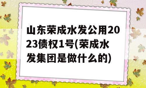 山东荣成水发公用2023债权1号(荣成水发集团是做什么的)