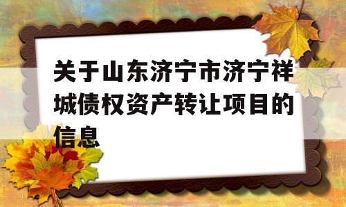 关于山东济宁市济宁祥城债权资产转让项目的信息