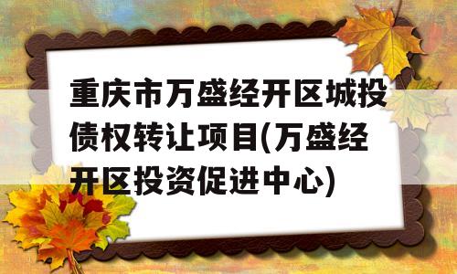 重庆市万盛经开区城投债权转让项目(万盛经开区投资促进中心)