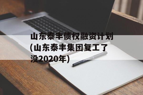 山东泰丰债权融资计划(山东泰丰集团复工了没2020年)