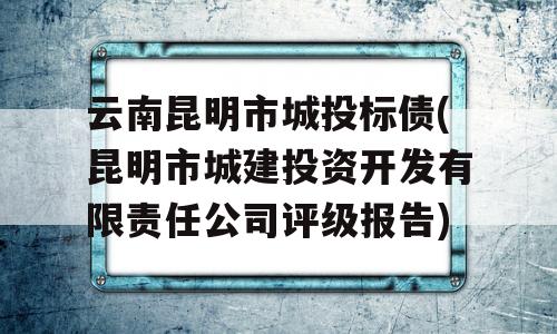 云南昆明市城投标债(昆明市城建投资开发有限责任公司评级报告)