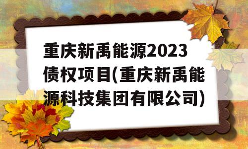 重庆新禹能源2023债权项目(重庆新禹能源科技集团有限公司)