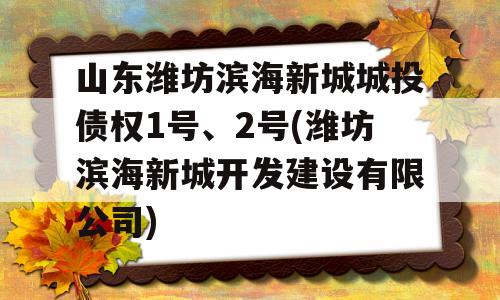 山东潍坊滨海新城城投债权1号、2号(潍坊滨海新城开发建设有限公司)