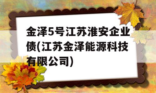 金泽5号江苏淮安企业债(江苏金泽能源科技有限公司)