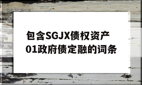 包含SGJX债权资产01政府债定融的词条