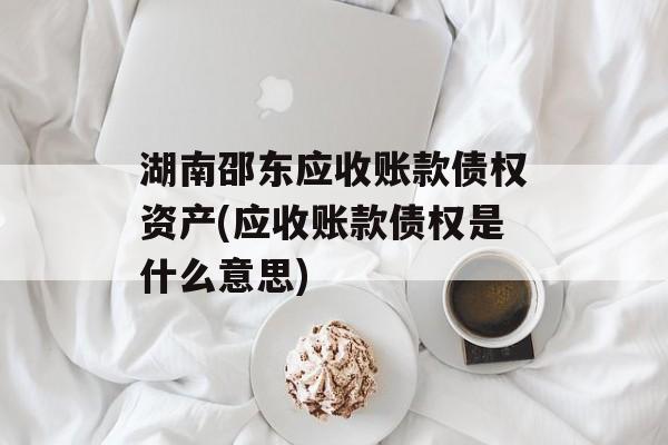 湖南邵东应收账款债权资产(应收账款债权是什么意思)