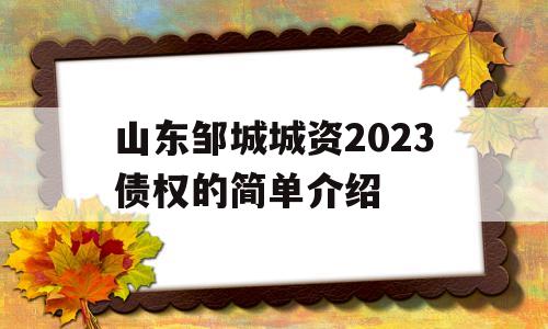 山东邹城城资2023债权的简单介绍