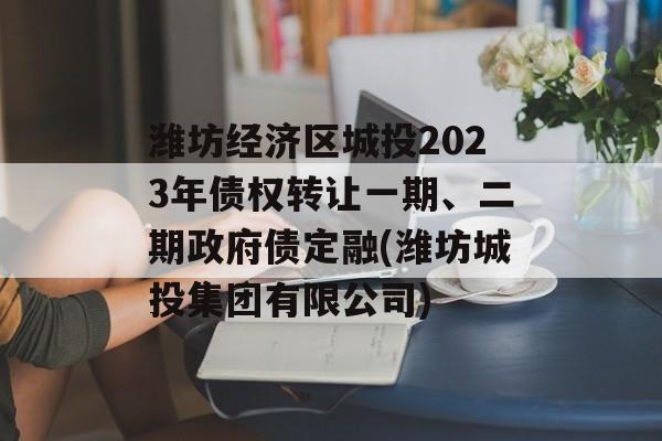 潍坊经济区城投2023年债权转让一期、二期政府债定融(潍坊城投集团有限公司)