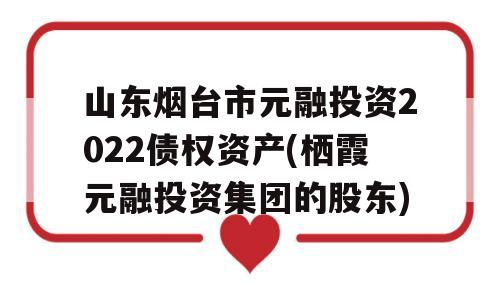 山东烟台市元融投资2022债权资产(栖霞元融投资集团的股东)