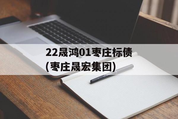 22晟鸿01枣庄标债(枣庄晟宏集团)