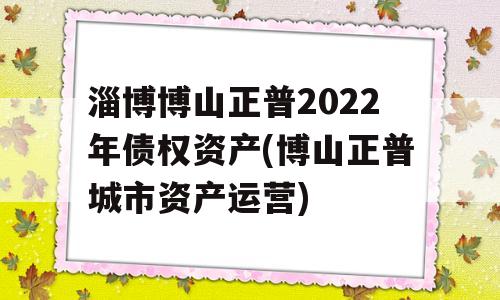 淄博博山正普2022年债权资产(博山正普城市资产运营)