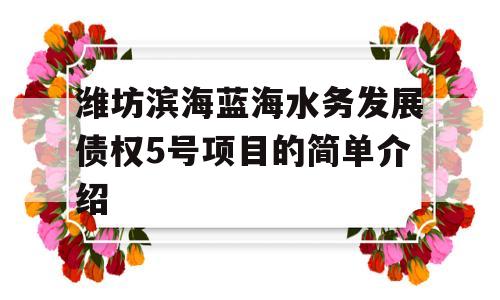 潍坊滨海蓝海水务发展债权5号项目的简单介绍