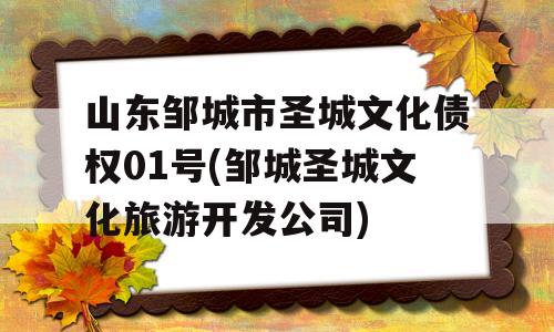 山东邹城市圣城文化债权01号(邹城圣城文化旅游开发公司)