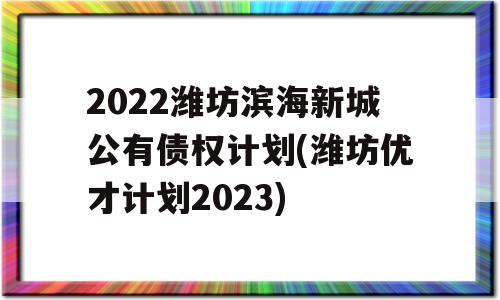 2022潍坊滨海新城公有债权计划(潍坊优才计划2023)