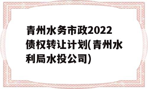 青州水务市政2022债权转让计划(青州水利局水投公司)