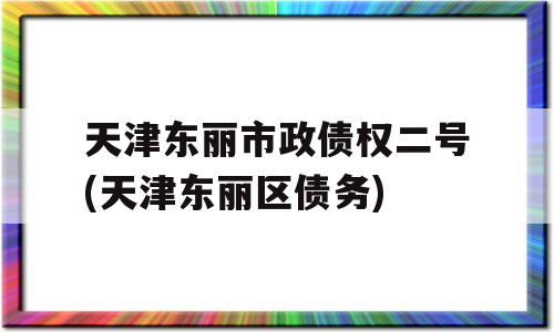 天津东丽市政债权二号(天津东丽区债务)