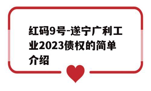 红码9号-遂宁广利工业2023债权的简单介绍