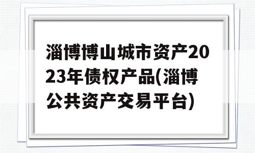 淄博博山城市资产2023年债权产品(淄博公共资产交易平台)