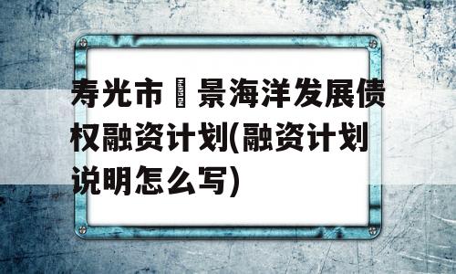 寿光市昇景海洋发展债权融资计划(融资计划说明怎么写)