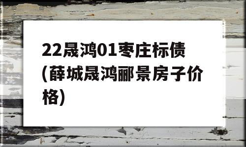 22晟鸿01枣庄标债(薛城晟鸿郦景房子价格)