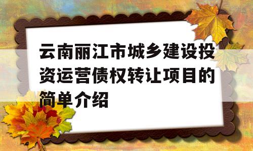 云南丽江市城乡建设投资运营债权转让项目的简单介绍