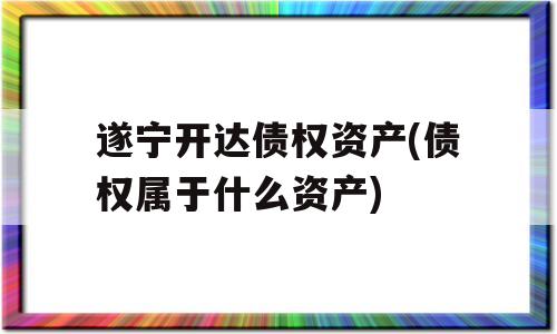 遂宁开达债权资产(债权属于什么资产)