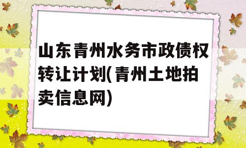 山东青州水务市政债权转让计划(青州土地拍卖信息网)