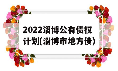 2022淄博公有债权计划(淄博市地方债)