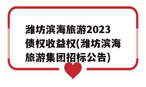 潍坊滨海旅游2023债权收益权(潍坊滨海旅游集团招标公告)