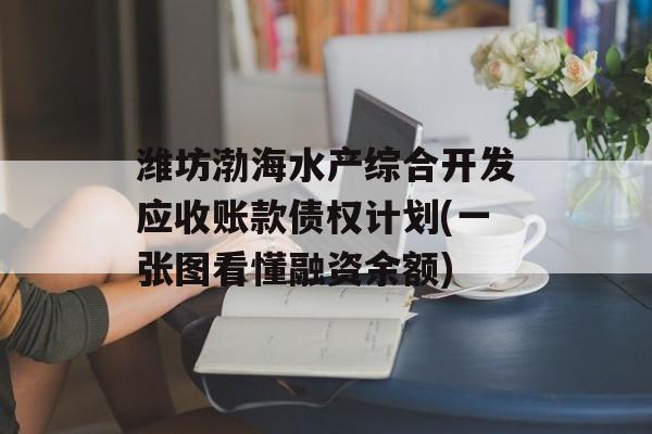 潍坊渤海水产综合开发应收账款债权计划(一张图看懂融资余额)