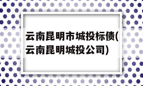 云南昆明市城投标债(云南昆明城投公司)