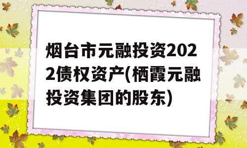 烟台市元融投资2022债权资产(栖霞元融投资集团的股东)