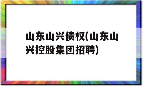 山东山兴债权(山东山兴控股集团招聘)