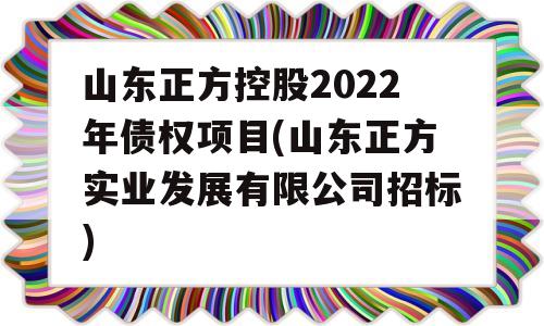 山东正方控股2022年债权项目(山东正方实业发展有限公司招标)