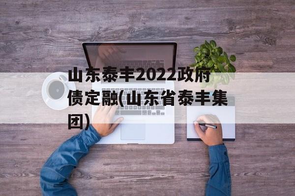 山东泰丰2022政府债定融(山东省泰丰集团)