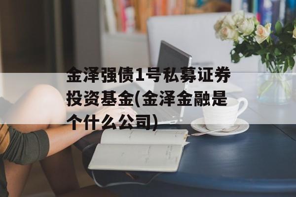 金泽强债1号私募证券投资基金(金泽金融是个什么公司)