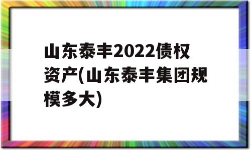 山东泰丰2022债权资产(山东泰丰集团规模多大)